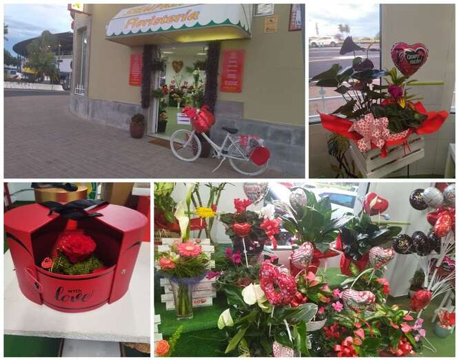 Imágenes del establecimiento puntero en Telde en el sector de la floristería/TA.